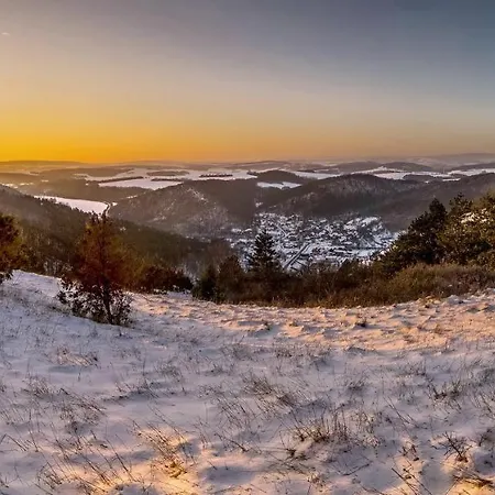 Accommodatie bij particulieren Palatin *