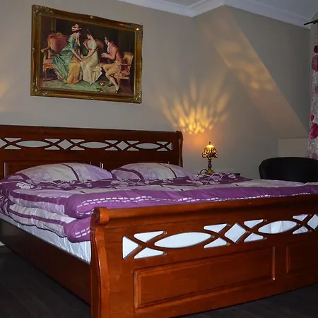 Homestay Palatin *