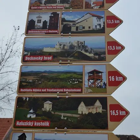 Palatin *